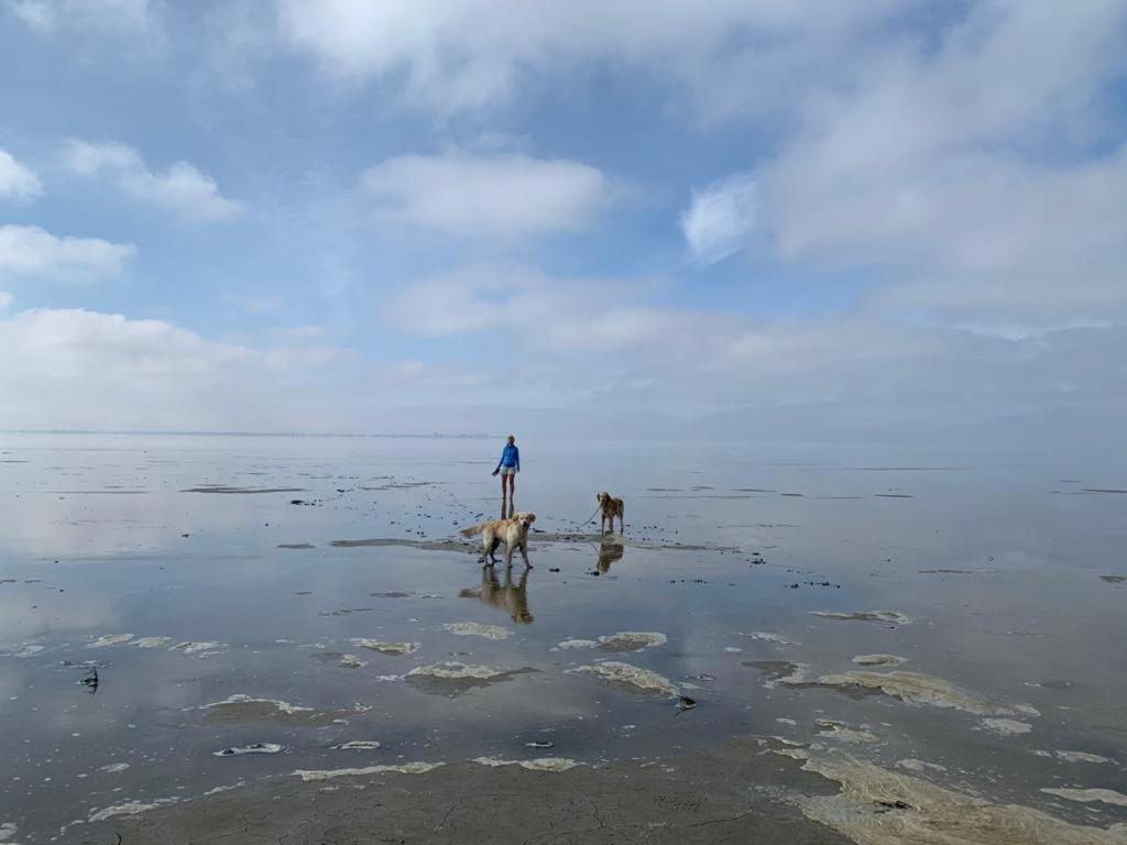 Ferienwohnung Chalet Seemöwe direkt am Wattenmeer aan de waddenzee Nordsee 600 Meter zum Badestrand, Angeln Westerland Exterior foto